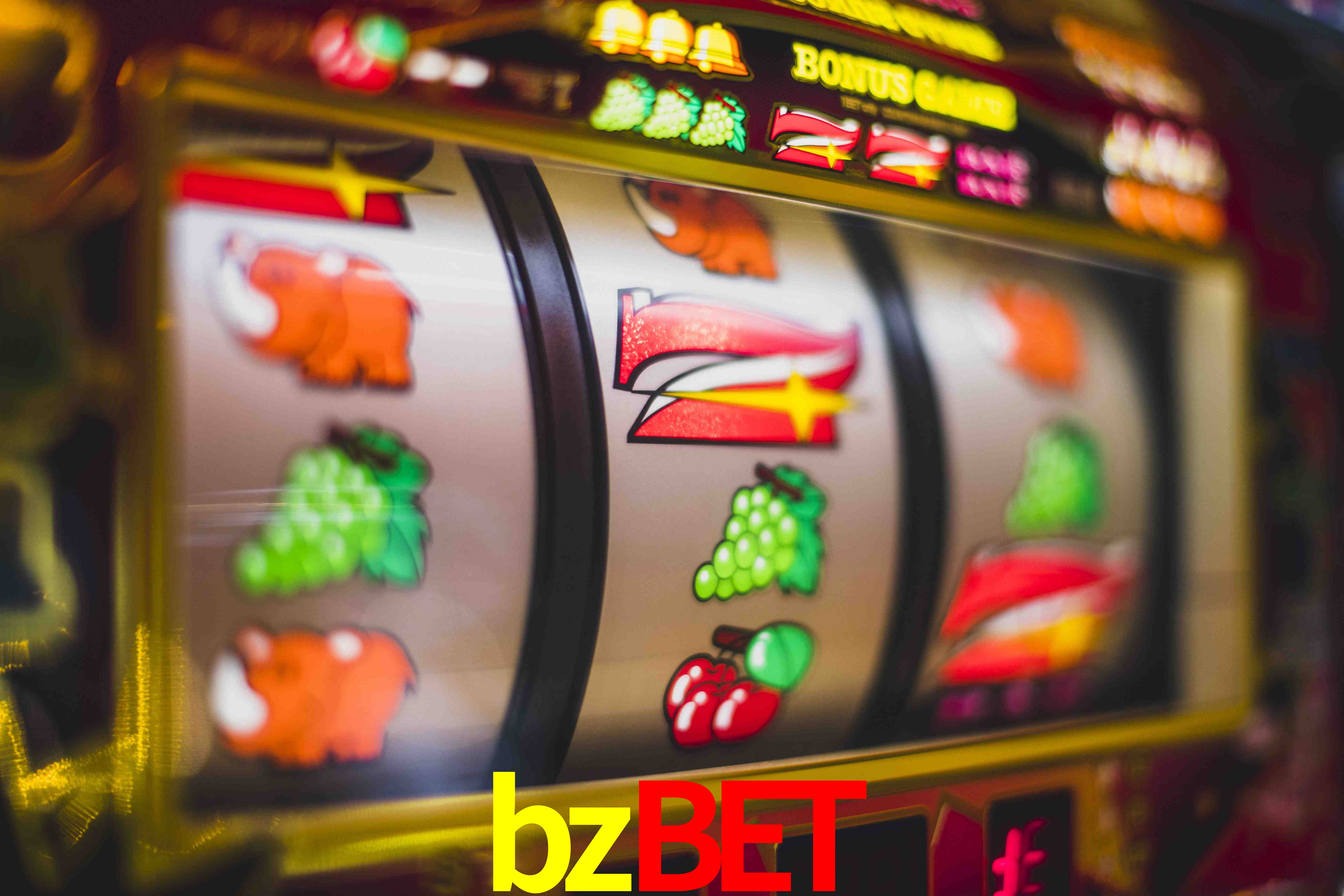 Sports Statistics bzbet